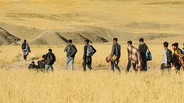 Van'da 46 düzensiz göçmen yakalandı