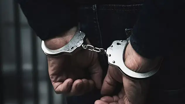 Van'da 48 kişi tutuklandı