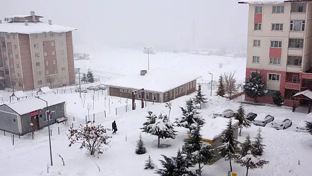 Van'da 61 yol kapandı