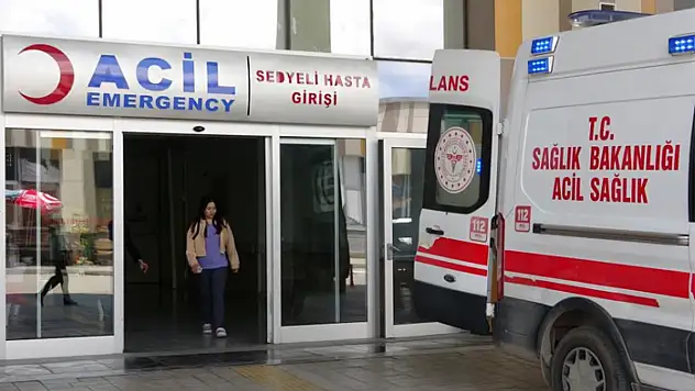 Van'da acemi kasaplar hastanelik oldu