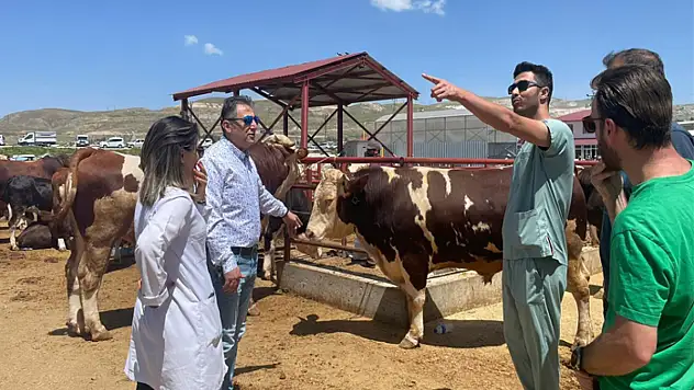 Van'da bayram öncesi denetimler arttırıldı