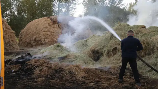 Van'da bin bağ ot yandı