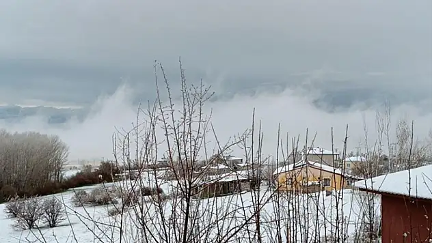Van'da çiçek açan ağaçlara kar yağdı