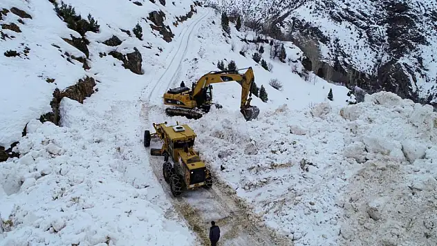 Van'da çığ düşen yol ulaşıma açıldı
