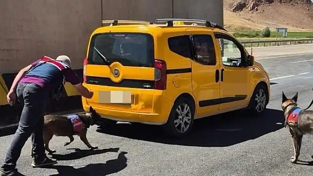 Van'da değişik suçlardan 17 kişi tutuklandı