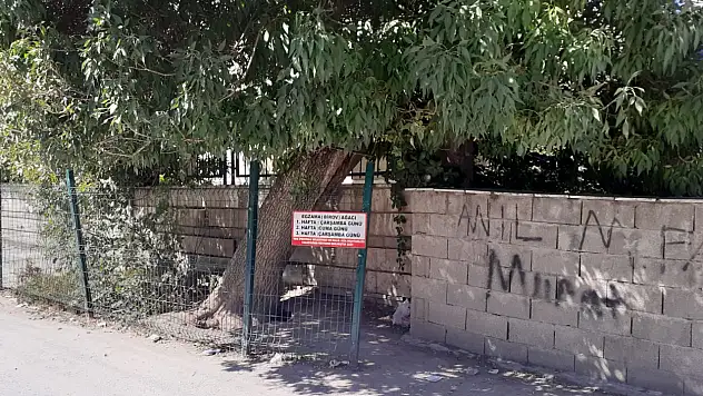 Van'da egzama hastaları şifayı toprakta buluyor