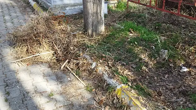 Van'da Eskişehir Mezarlığı bakım bekliyor