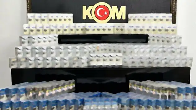 Van'da gümrük kaçakçılığı operasyonu