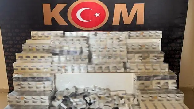 Van'da gümrük kaçakçılığı operasyonu