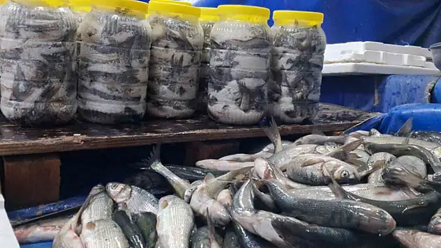 Van'da havaların soğumasıyla inci kefaline ilgi arttı