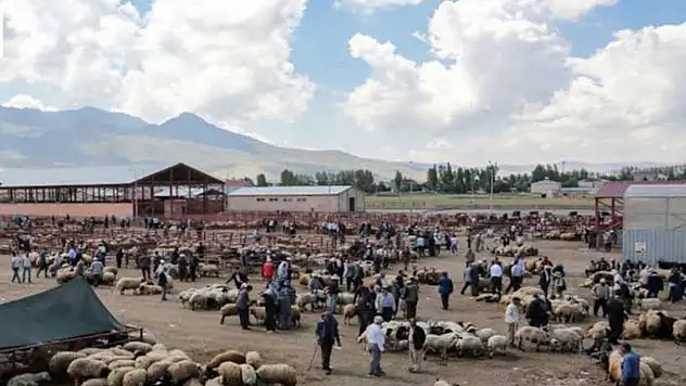 Van'da hayvan satış yeri yeniden açıldı