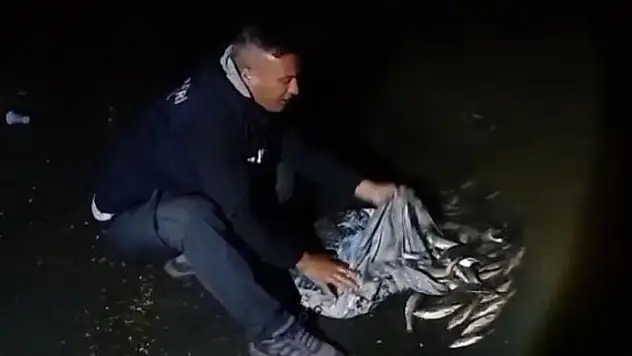 Van'da inci kefali göçü başladı: 60 kilo balığa el konuldu