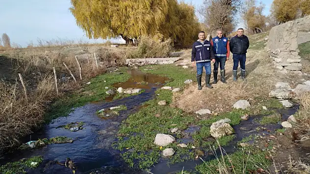 Van'da İnci Kefali üreme alanlarında denetimler sıklaştırıldı