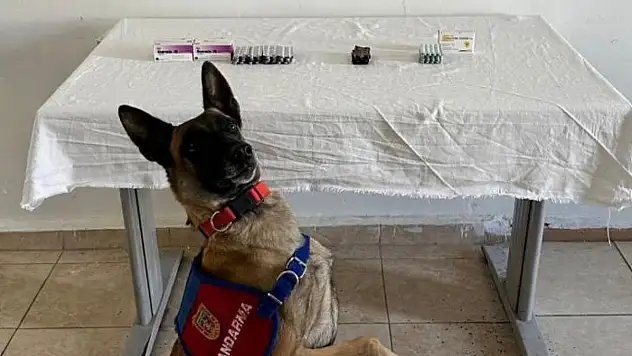 Van'da İran uyruklu şahsın üzerinden 380 adet sentetik hap ele geçirildi