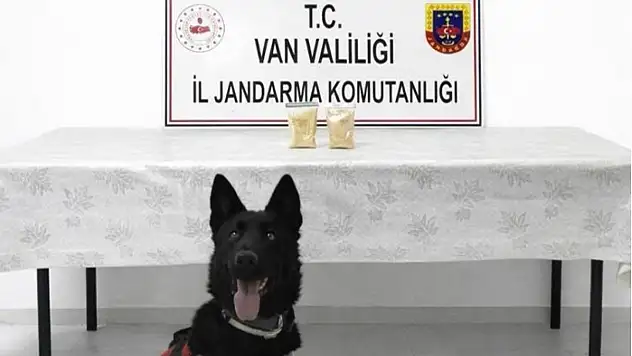 Van'da İranlı şahısın üzerinde eroin ele geçirildi