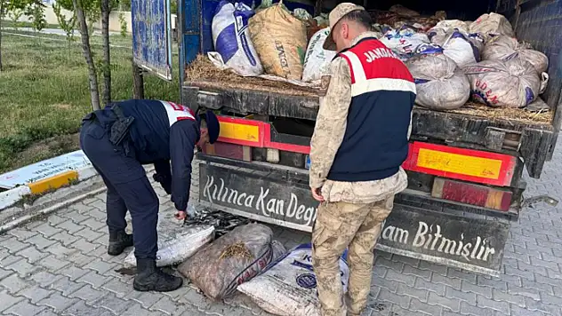 Van'da kaçak avcılığa geçit yok