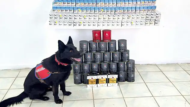 Van'da kaçak sigara ve çay ele geçirildi