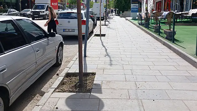 Van'da kaldırımlardaki ağaçların dipleri temizleniyor
