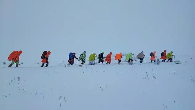 Van'da kar nedeniyle yol kapandı, rota Toprakkale'ye çevrildi