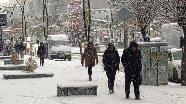 Van'da kar yağışı etkili oluyor