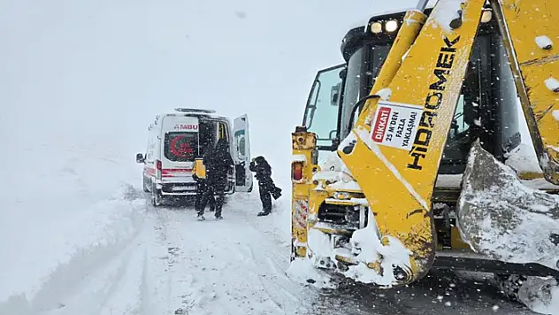 Van'da kar yağışı ulaşımı aksattı
