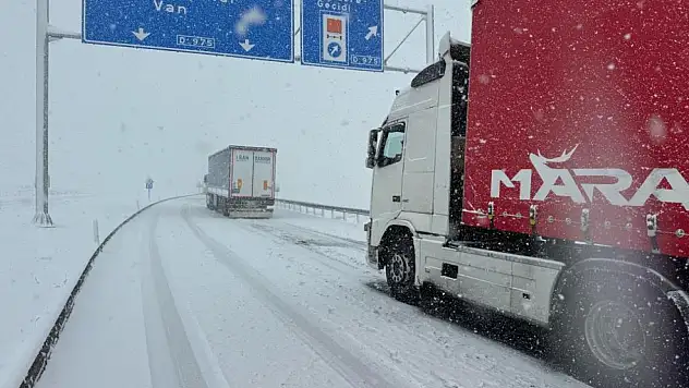 Van'da kar yağışı