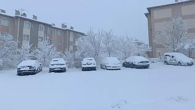 Van'da karla gelen güzellik