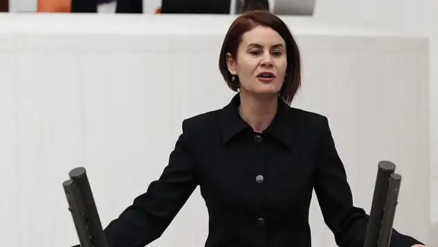 Van'da karla mücadele çalışmaları Meclis gündeminde