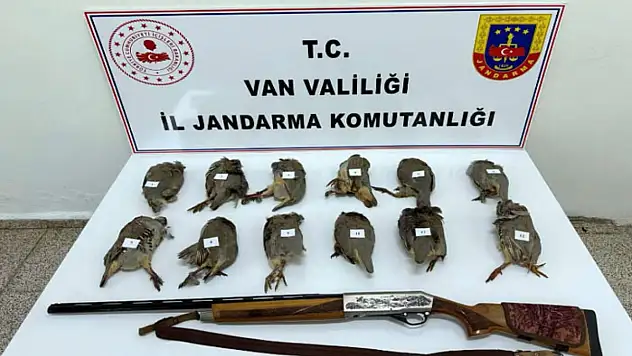 Van'da keklik avlayan kişiye 81 bin TL ceza