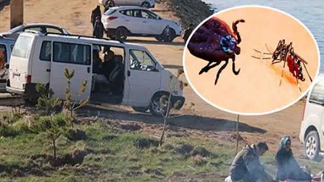 Van'da kene vakalarına karşı uyarı