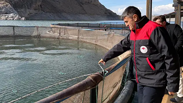 Van'da kırsal kalkınma destekleri alabalık üretimine güç katıyor