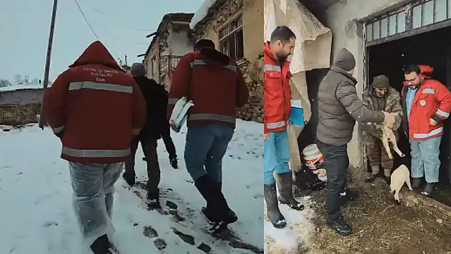 Van'da kış şartlarına rağmen hayvan sağlığı için saha çalışması