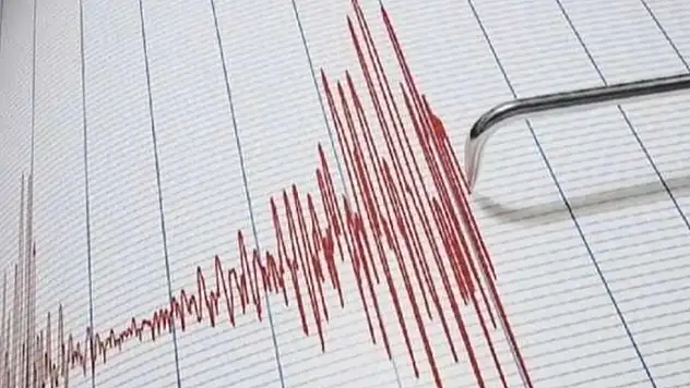 Van'da korkutan deprem