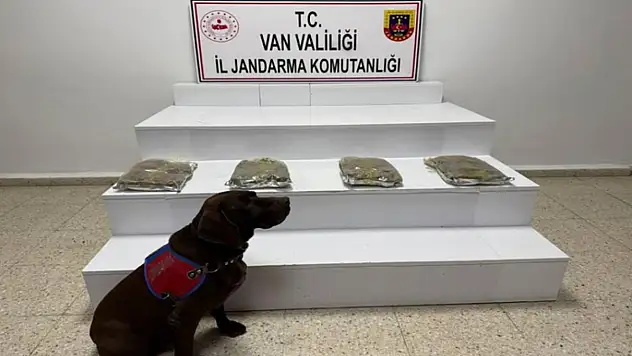 Van'da kubar esrar ele geçildi