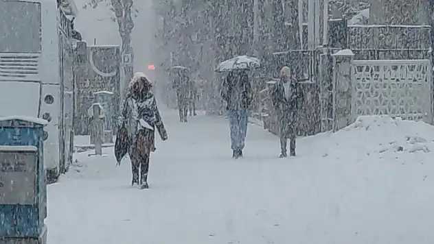 Van'da lapa lapa kar yağdı