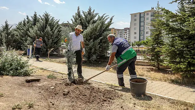 Van'da mezarlıklar ağaçlandırılıyor