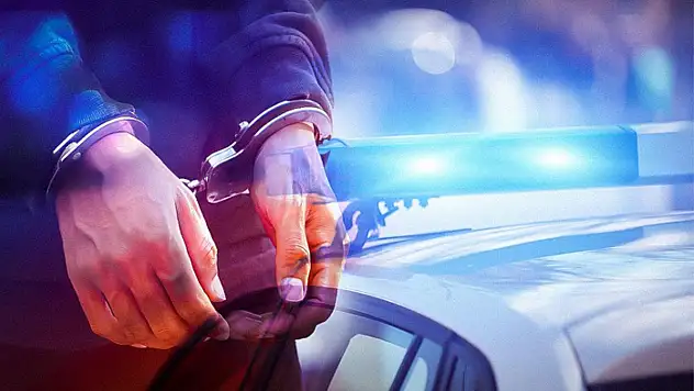 Van'da Narkoçelik-15 operasyonu