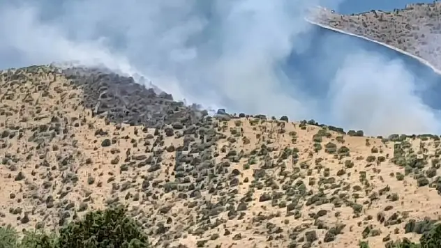 Van'da orman yangını