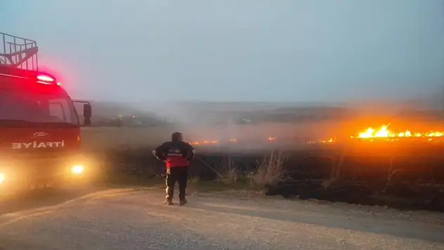 Van'da sazlık alanda yangın