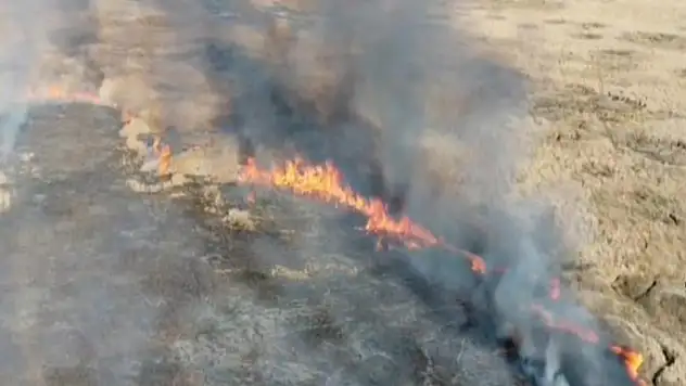 Van'da sazlık yangını