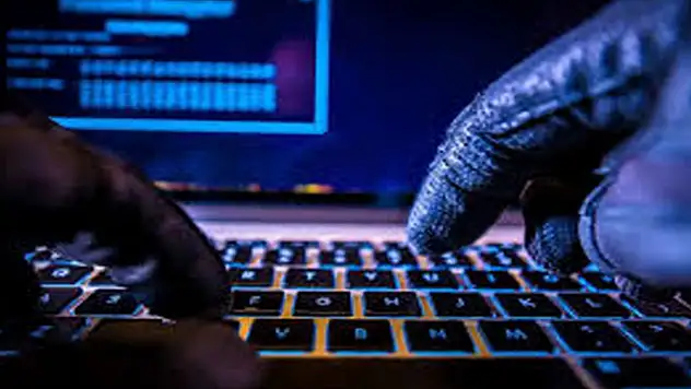 Van'da siber dolandırıcılık operasyonu