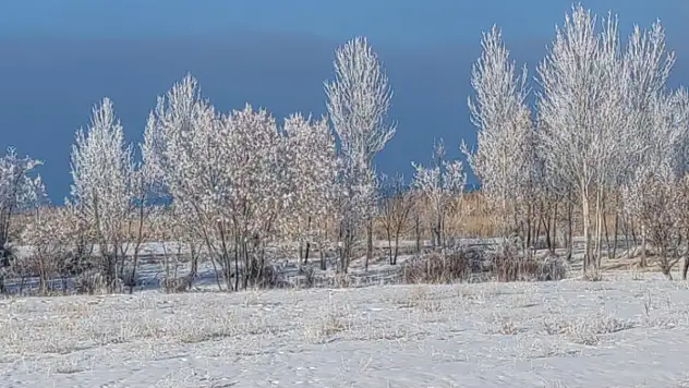 Van'da Sibirya soğukları hayatı olumsuz etkiliyor
