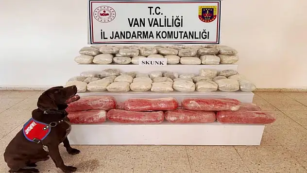 Van'da skunk ele geçirildi