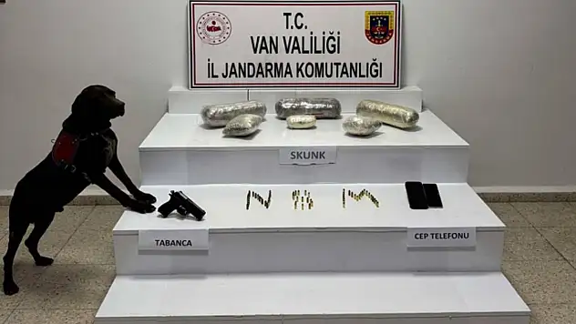 Van'da skunk ele geçirildi