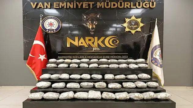 Van'da skunk ele geçirildi