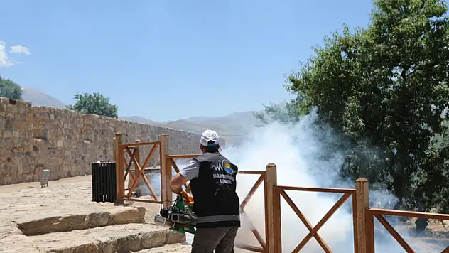 Van'da tarihi ve turistik yerler ilaçlanıyor