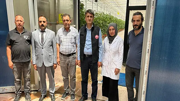 Van'da termal suyla üretim yapan serada incelemeler yapıldı