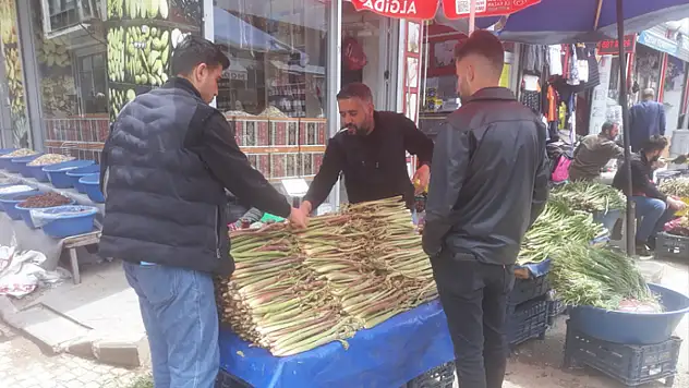 Van'da uşkuna yoğun ilgi