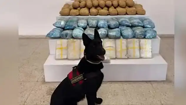 Van'da uyuşturucu kaçakçılarına büyük darbe