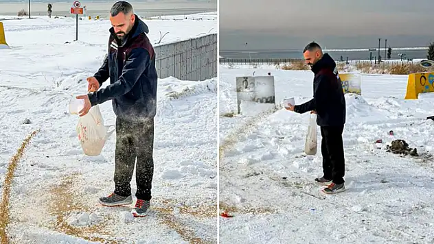 Van'da yaban hayvanları için doğaya yem bırakıldı